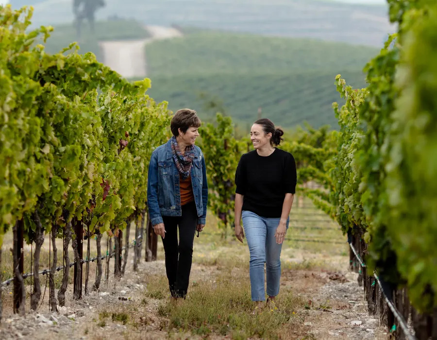 Pelletiere Vineyard - Janis and Morgan