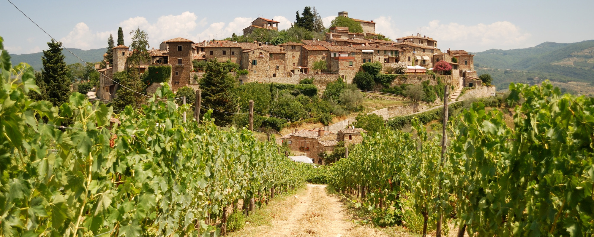 Upcoming Wine Immersion Trips