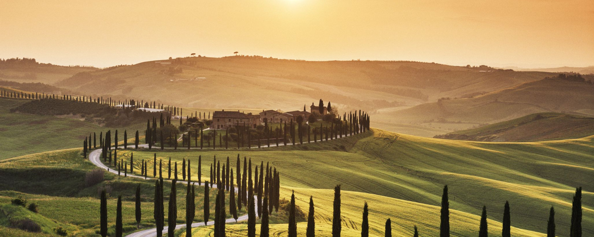 Wine Immersion - Tuscany, Italy 2026 (Chianti Classico)